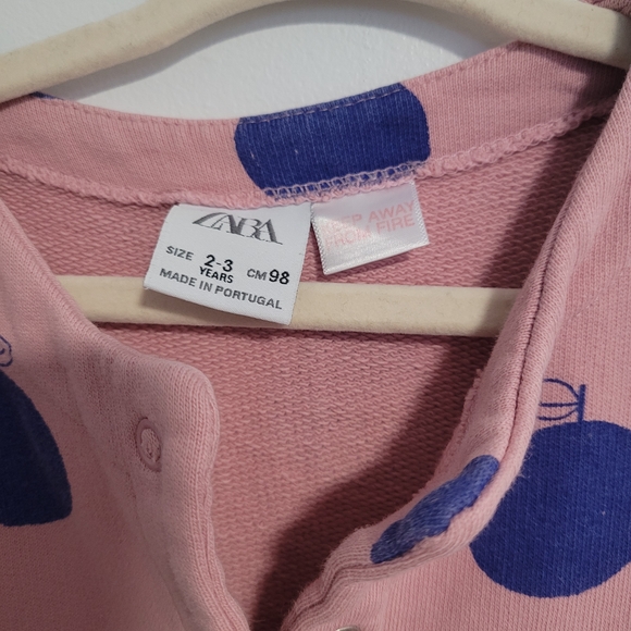 🧸2/20$ Zara Pink Sweatshirt Dress Blue Apple Print Size 2-3T Baby Toddler Girl - Picture 5 of 7